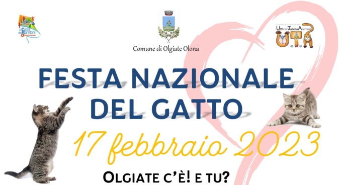 A Olgiate Olona si celebra la festa del gatto