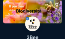 FantaSanremo: tra gli sponsor anche la 3Bee di Fino Mornasco, ma nessuno usa il suo bonus