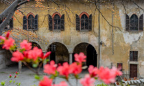 Castiglione Olona celebra la ricorrenza di istituzione del Museo Civico Branda Castiglioni