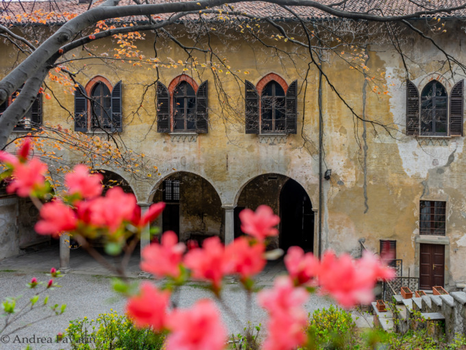 Castiglione Olona celebra la ricorrenza di istituzione del Museo Civico Branda Castiglioni