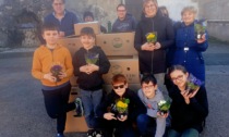 Grande successo per il Primula Day a Busto Arsizio e Valle Olona