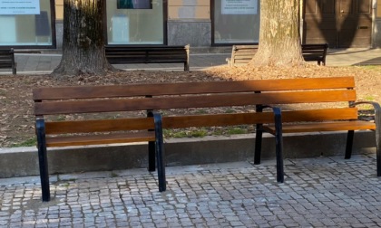 Taglio del nastro per la nuova panchina inclusiva