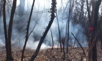 Incendio a Marnate, bosco in fiamme