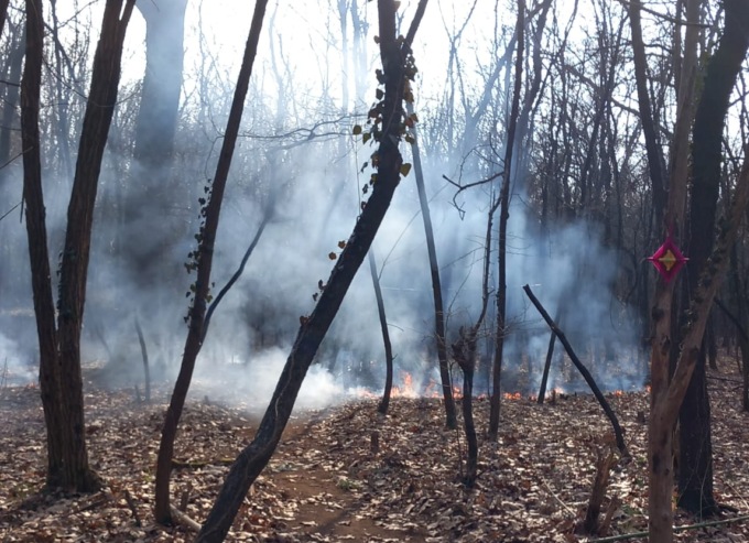 Incendio a Marnate, bosco in fiamme