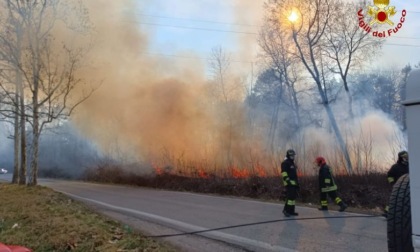 Incendio al Parco delle Groane domato dai Vigili del Fuoco