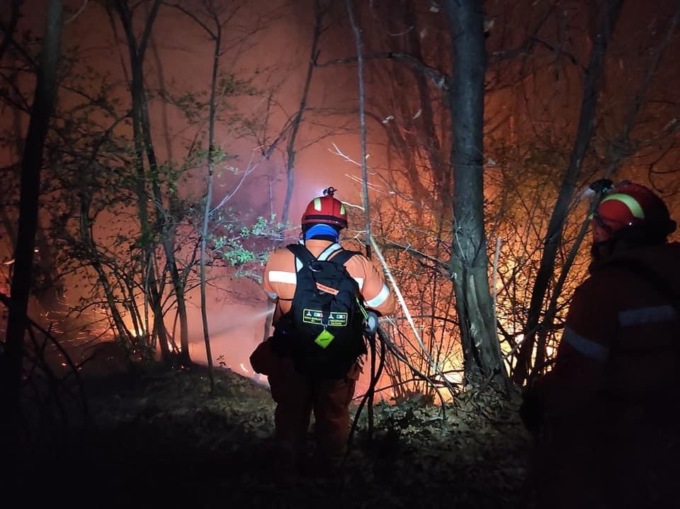 Domato l’incendio di Montegrino: complimenti da parte dell’assessore Fazio