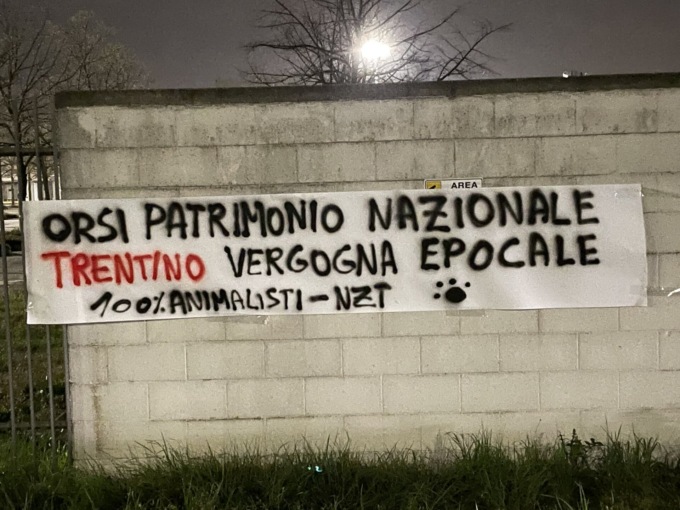 100% animalisti contro l’abbattimento dell’orso MJ5