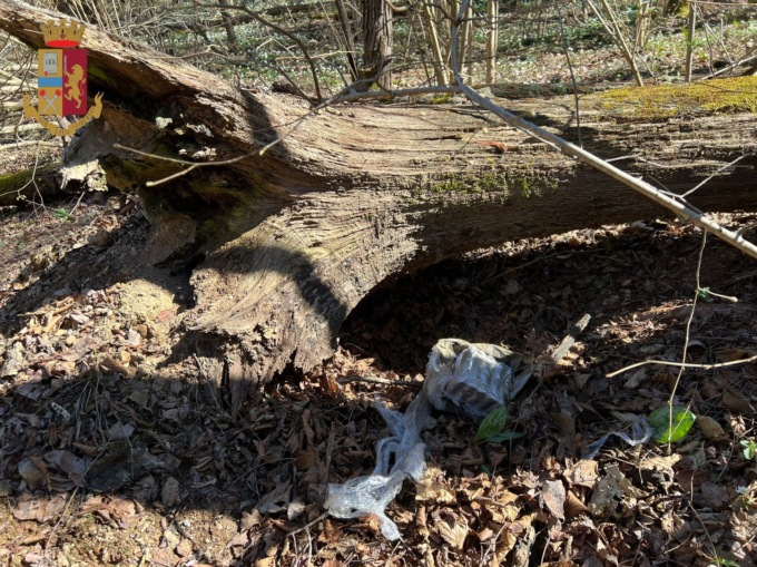 controlli nel parco pineta