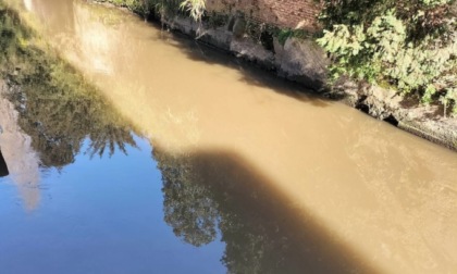 Tutela del fiume Olona, incontro coi sindaci e le associazioni ambientaliste