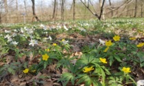 Centro per la biodiversità riprendono le attività