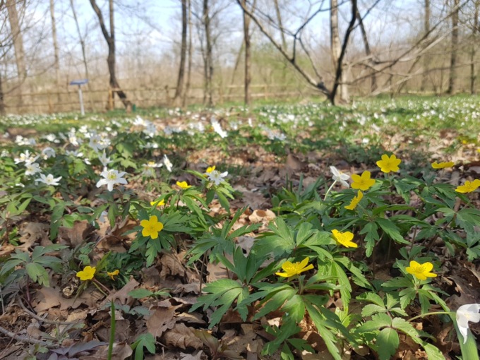 Centro per la biodiversità riprendono le attività
