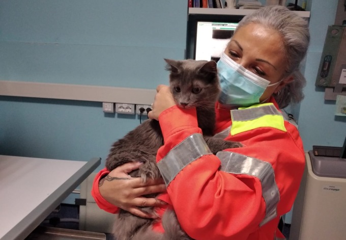 Ambulanze veterinarie a Malnate: parte il nuovo corso