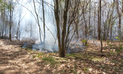 Incendio nei boschi di via Redipuglia: intervento a Gorla Minore