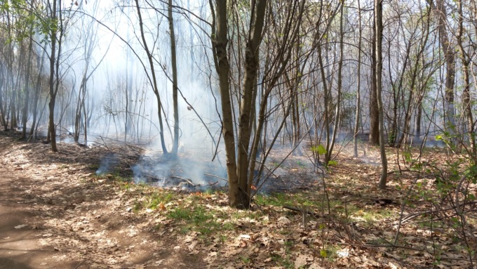 Incendio nei boschi di via Redipuglia: intervento a Gorla Minore