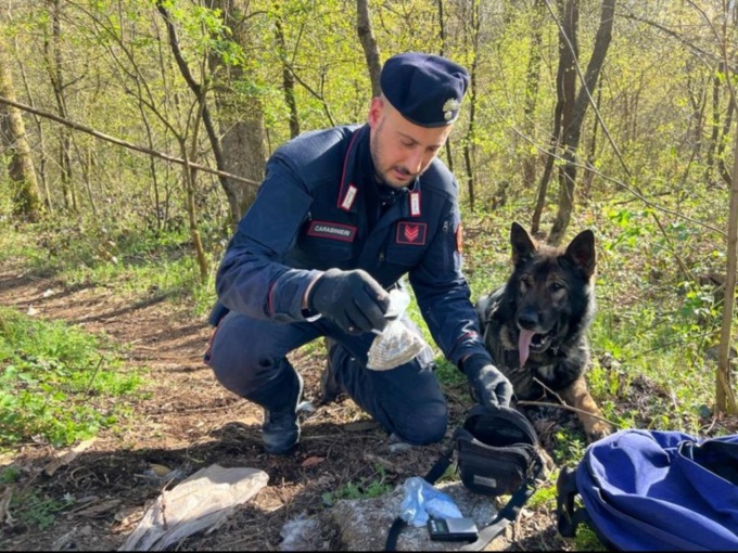 Etti di droga, contanti e coltelli trovati nei boschi di Oggiona