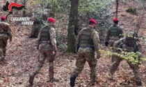 Sono iniziate le operazioni dei Baschi Rossi nei boschi dello spaccio della provincia