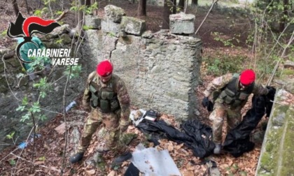 Controlli anti spaccio nei boschi: i carabinieri trovano armi e soldi nascosti