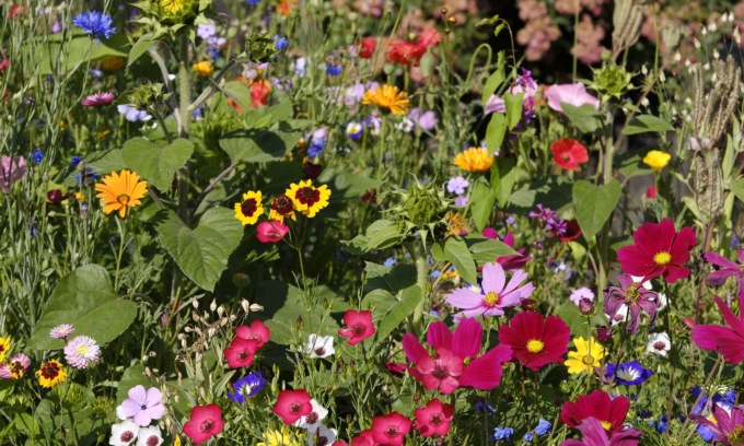 La Camera di commercio di Varese presenta le eccellenze del territorio a Gardenium 2025