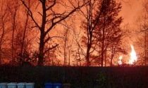 Maxi incendio nei boschi nel Parco delle Groane