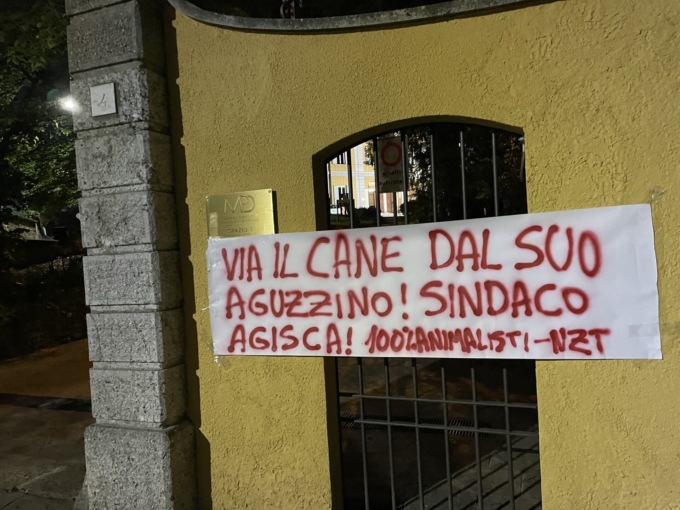 Cane maltrattato dal padrone: striscioni appesi davanti al Municipio