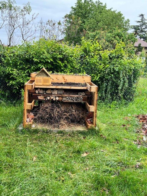 Nel giardino della scuola inaugurato il  «Bug Hotel»