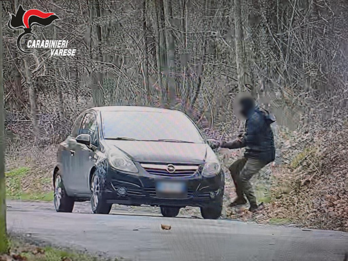 Ennesimo bosco dello spaccio smantellato dai Carabinieri