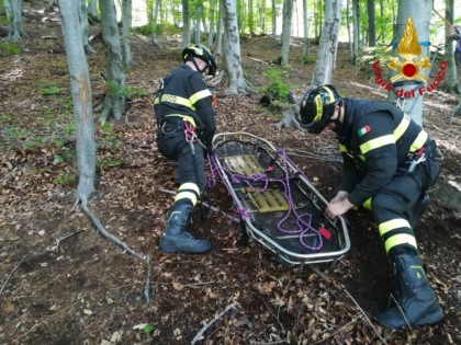 Colpito da un ramo mentre tagliava un albero: 71enne muore a Dumenza