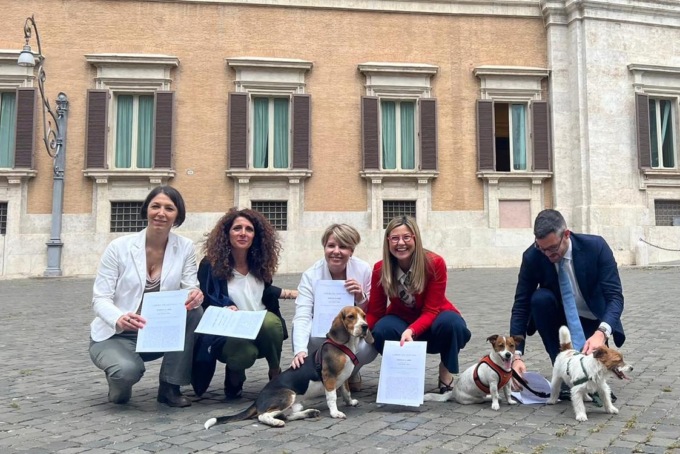 Toelettatori degli animali d’affezione, presentata la proposta di legge Gadda e Benzoni (Az-IV)