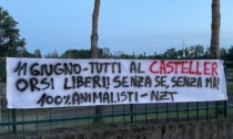 Striscioni "pro-orsi" a Origgio e Saronno da parte di Centopercentoanimalisti