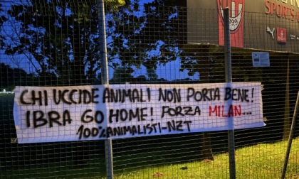 Blitz degli animalisti a Milanello contro Zlatan Ibrahimovic