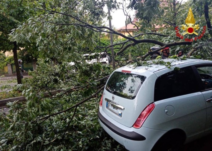 Albero cade in mezzo alla strada: automobilista salvo per miracolo