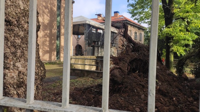 Gli alberi caduti nella zona di via I Maggio