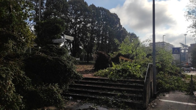 Maltempo, una tromba d’aria colpisce Saronno, caduti alberi secolari