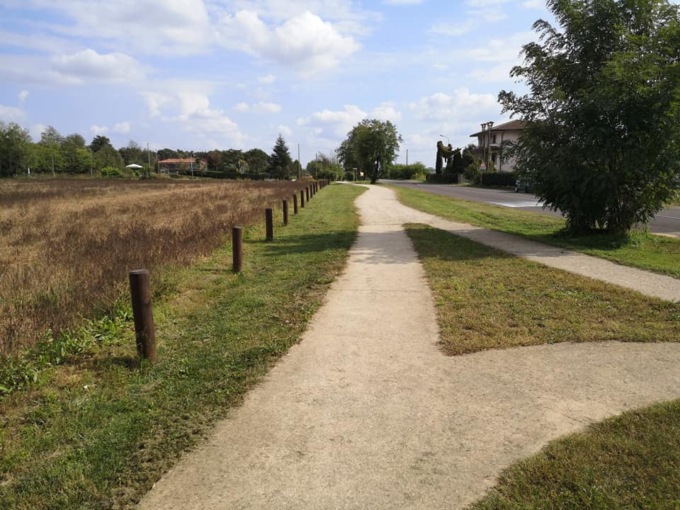 Ritorna la tanto attesa  «Seprio Running Race»