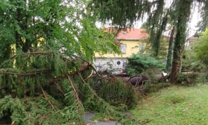 Bufera su Tradate, le conseguenze sul Galmarini