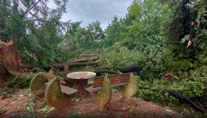 “Il parco del Pavoni non c’è più”: parte la raccolta fondi