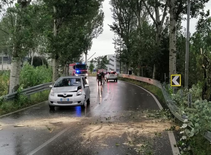 Piante crollate, cartelli divelti e allagamenti