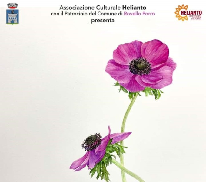 Arte botanica la personale di Daniela Arrighi