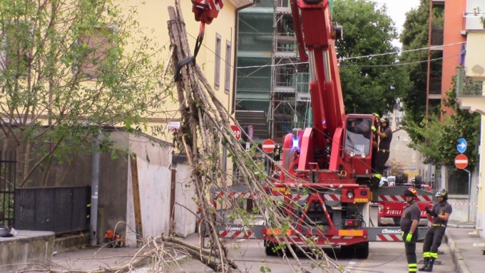 Pianta  ostruisce il torrente Lura, rimossa dai Vigili del fuoco con una gru