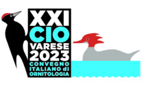 Sulle ali della scienza: a Varese il Congresso nazionale di Ornitologia