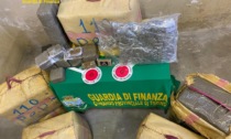 Traffico di droga: 13 arresti e 800 chilogrammi di droga sequestrati