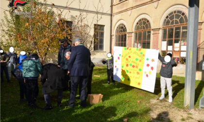 I Carabinieri forestali celebrano la giornata dell’albero