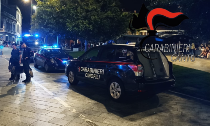 Omicidio, tentata rapina e furto: diversi gli arresti effettuati dai Carabinieri