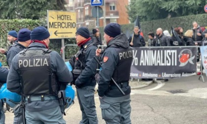 Sagra di Sant'Antonio, animalisti pronti a un'altra edizione di proteste
