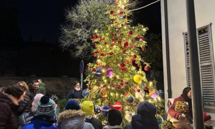 Più di 500 persone all'accensione dell'albero della pace