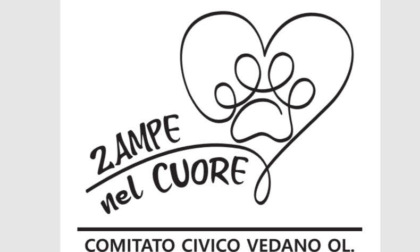 E’ nato il comitato «Zampe nel cuore» per il benessere degli animali