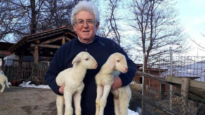 17mila firme online per salvare il “Rifugio animali felici”
