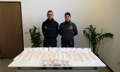 Sequestrati 14 chili di perle coltivate al confine fra Italia e Svizzera