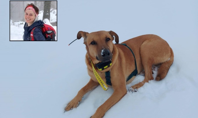 Tragica valanga in Val Formazza: “Aiutateci a trovare il cane di Vanessa”