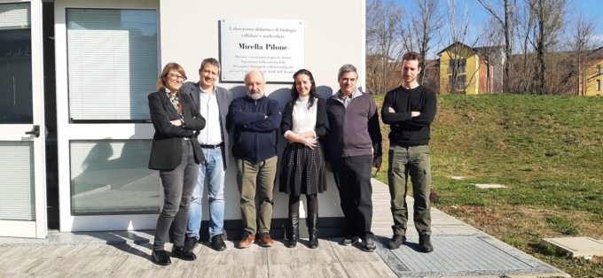 Da legno e crusca agli amminoacidi: all’Insubria il progetto “Meat from Wood”